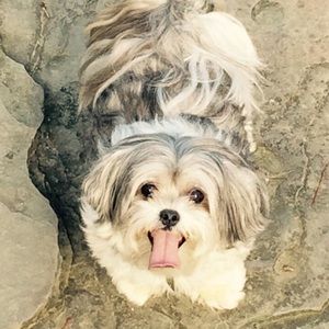 Meet your Posher, Marian